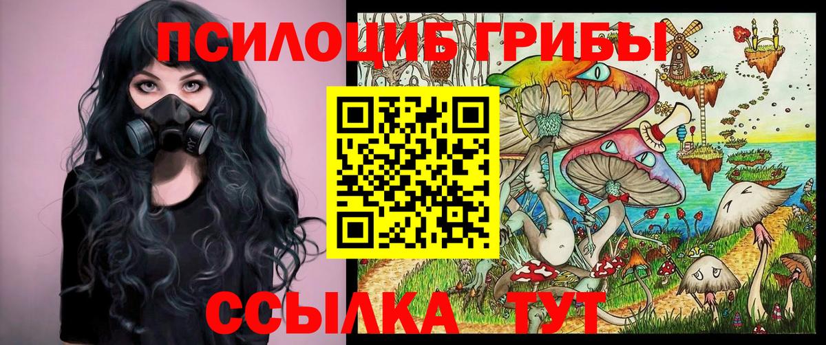 Псилоцибиновые грибы Psilocybine cubensis Пушкино