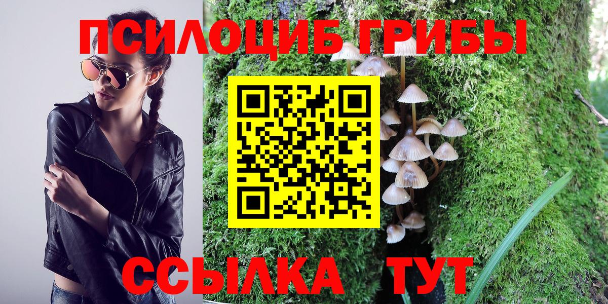 Пушкино  Псилоцибиновые грибы прущие грибы  Вход с VPN 