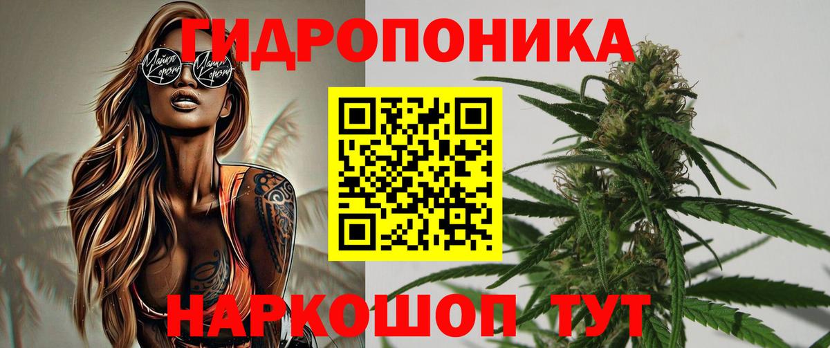 Бошки марихуана Amnesia Пушкино